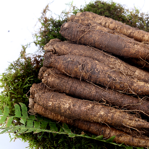 횡성맛더덕,더덕1kg(중상)